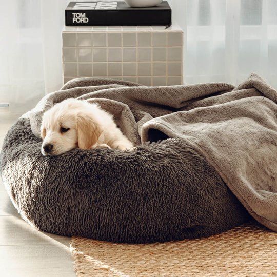 Double Weighted Luxury Blanket