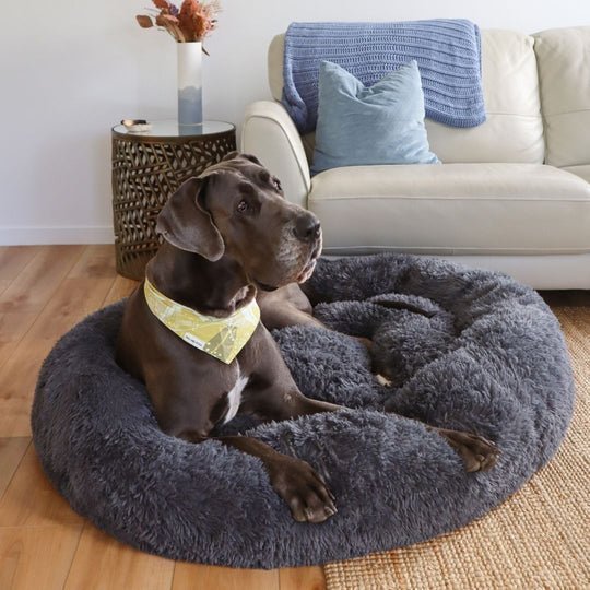 Calming Dog Bed & Cover Bundle - Image 6