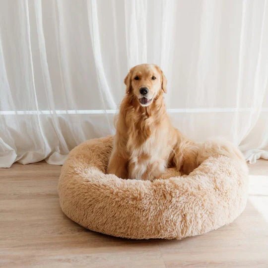 Calming Dog Bed & Cover Bundle - Image 9