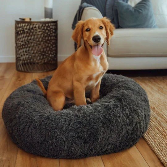 Calming Dog Bed & Cover Bundle - Image 7