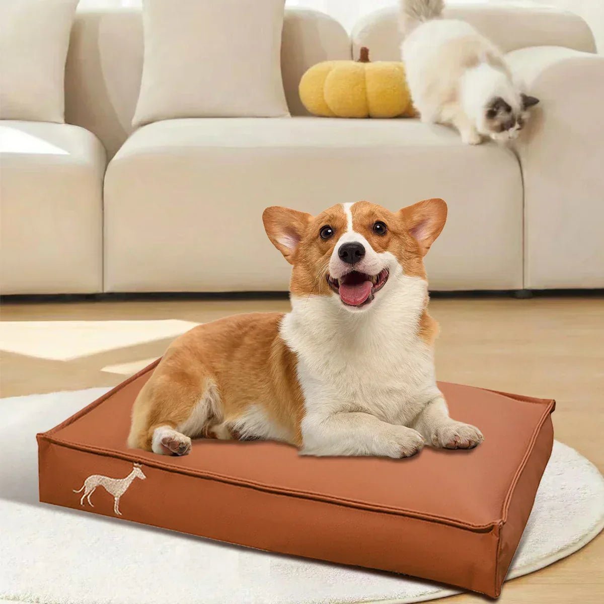 Ultimate Waterproof Dog Cushion for Lasting Comfort - Image 3