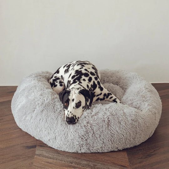 Calming Dog Bed & Cover Bundle - Image 11