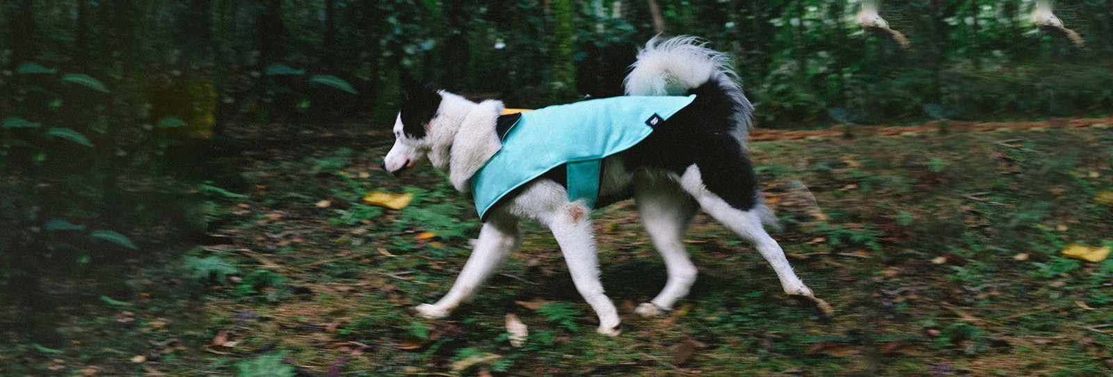 Mint | Winter Coat - Image 6